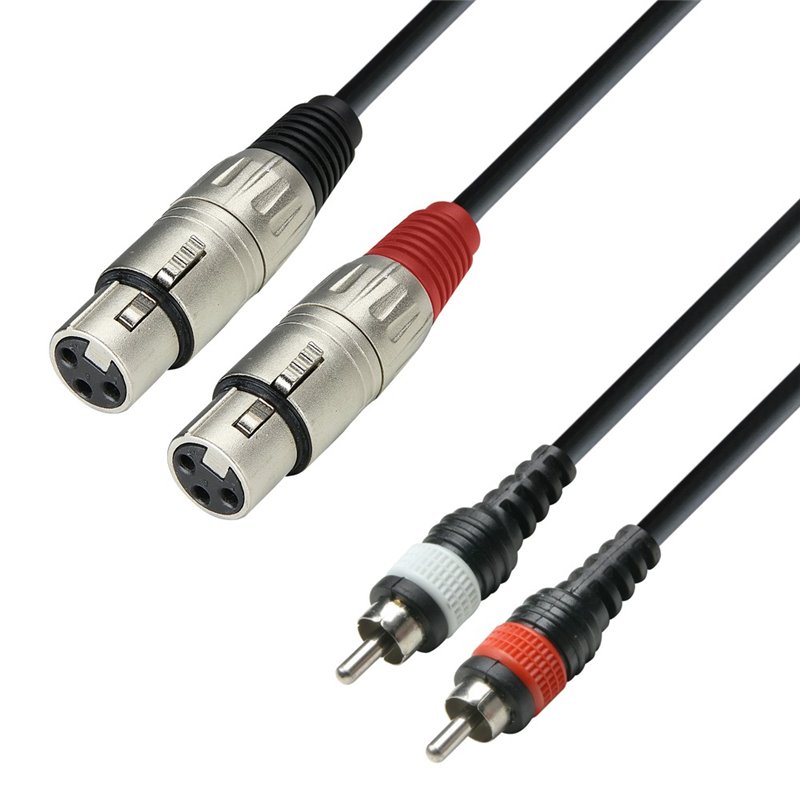 Câble audio moulé 2 x RCA mâle vers 2 x XLR femelle, 1 m