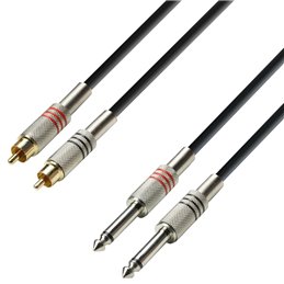 Câble Audio 2 x RCA mâle vers 2 x Jack 6,35 mm mono 6 m