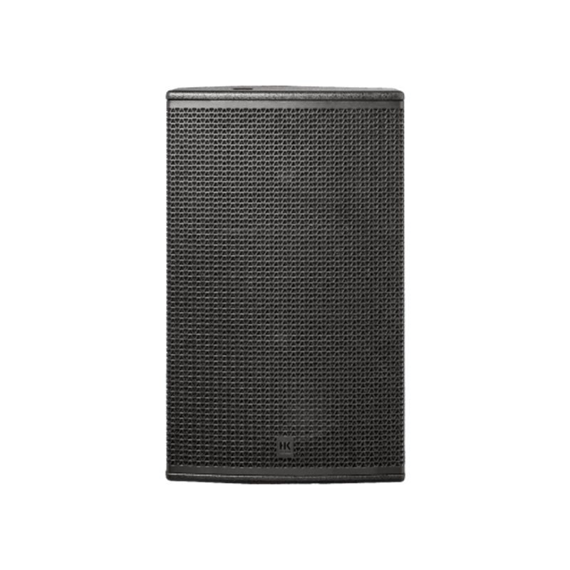 Enceinte 2 voies 700Wrms version droite